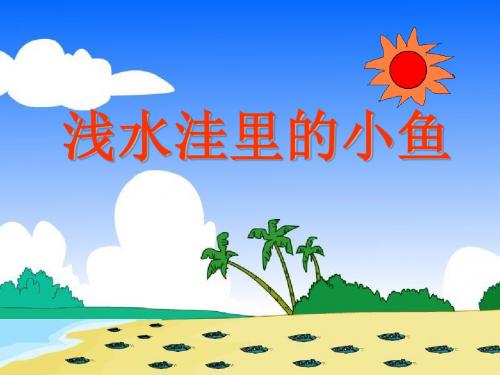 浅水洼里的小鱼教学PPT课件2