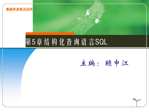 结构化查询语言SQL