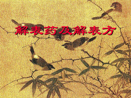 解表药及解表方