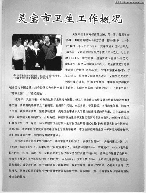 灵宝市卫生工作概况