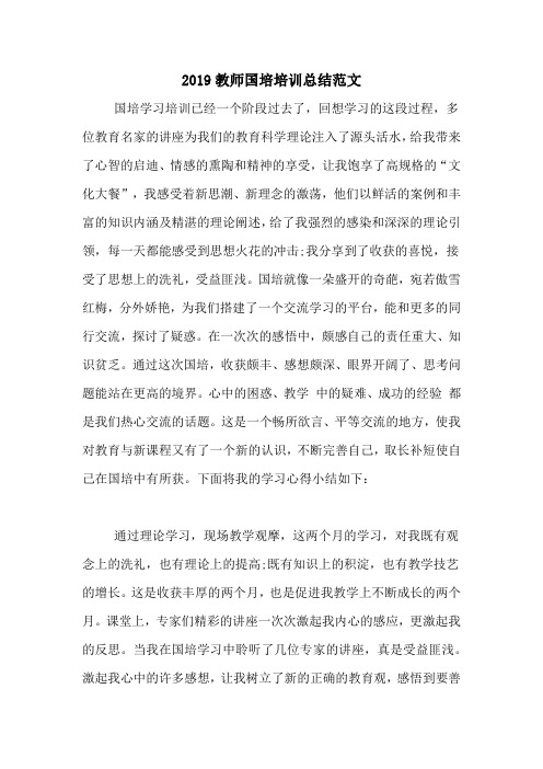 2019教师国培培训总结范文