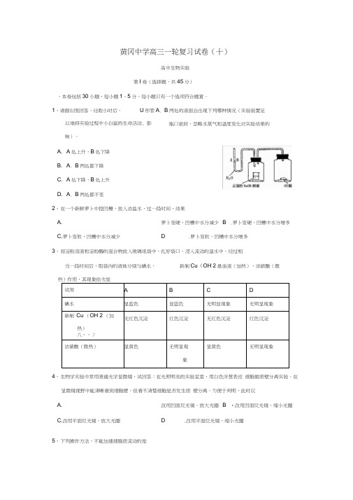 黄冈中学高三一轮复习试卷十