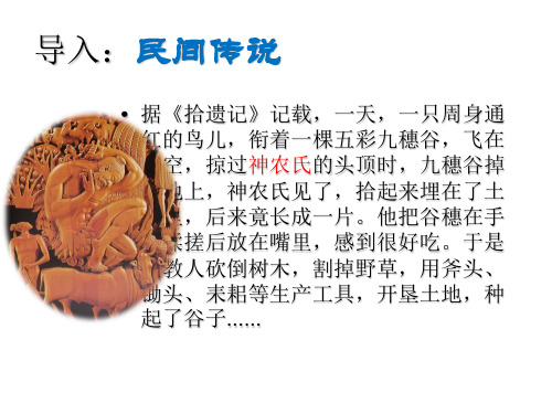 七年级语文上册 第五单元 第21课《永远执著的美丽》课件1 沪教版五四制.ppt