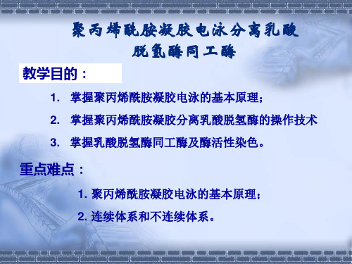 生化试验四垂直板聚丙烯酰胺凝胶连续电泳分离乳酸脱氢酶同工酶