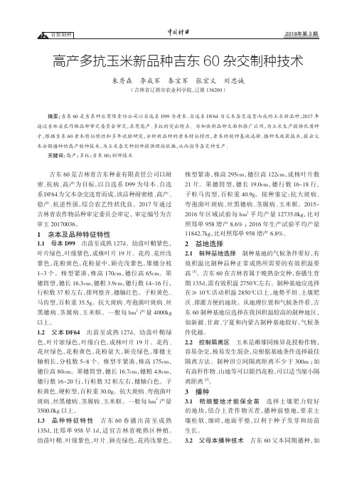 高产多抗玉米新品种吉东60杂交制种技术