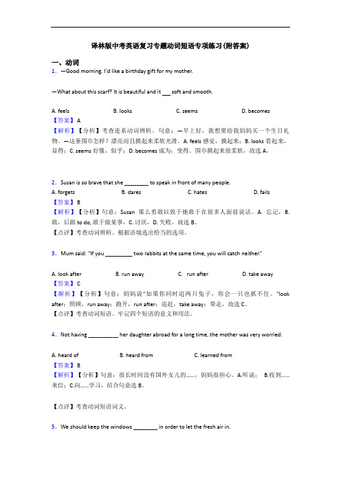 译林版中考英语复习专题动词短语专项练习(附答案)