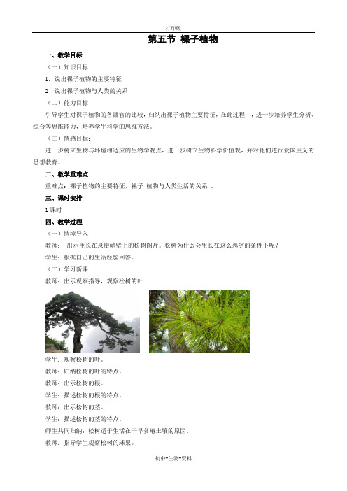 生物冀少版七年级上册1.3.5裸子植物教案