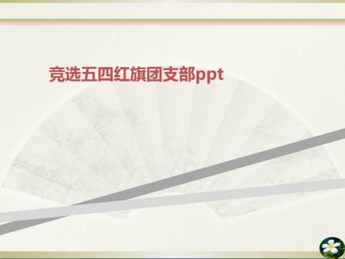 竞选五四红旗团支部ppt