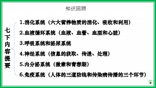 冀教版七年级生物下册重点知识点总结(37张PPT)