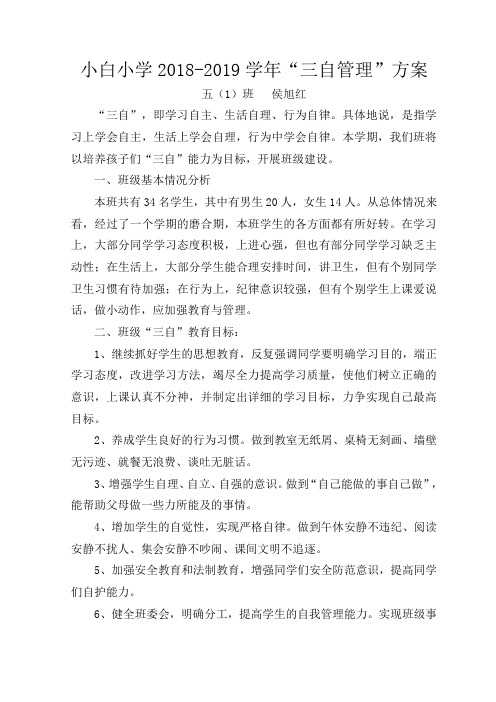 三自管理方案