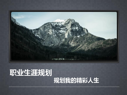 市场营销专业学生职业规划PPT