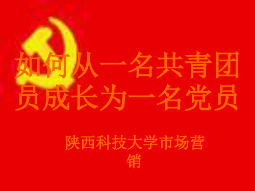 如何从一名共青团员成长为党员(PPT格式)