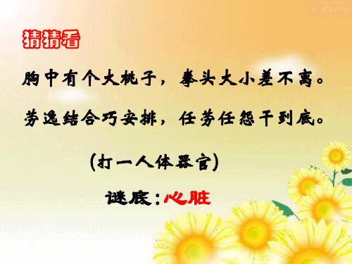 心脏的结构和功能PPT课件