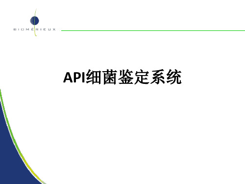 API细菌鉴定系统ppt课件