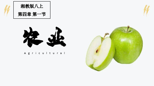 第四章第一节农业课件2021-2022学年湘教版八年级地理上册