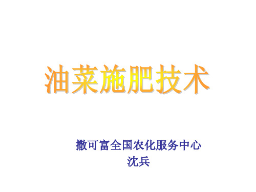 油菜施肥技术