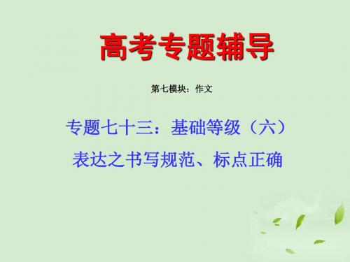 高三语文高考二轮专题复习课件基础等级之书写规范、标点正确全国通用