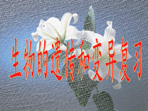 生物的遗传和变异复习