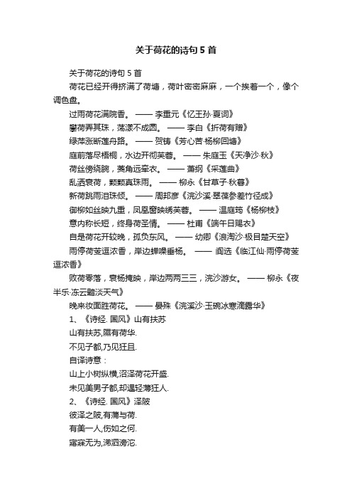 关于荷花的诗句5首