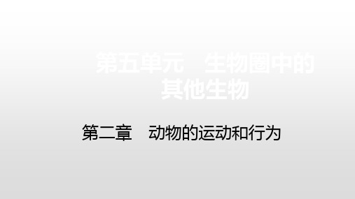 第二章第三节 社会行为