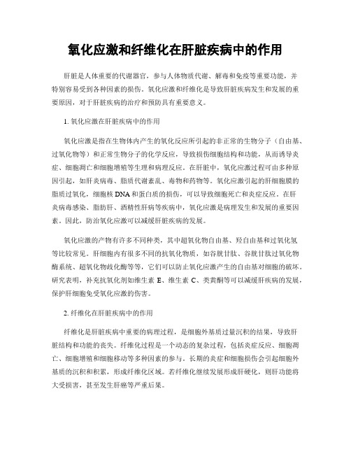 氧化应激和纤维化在肝脏疾病中的作用