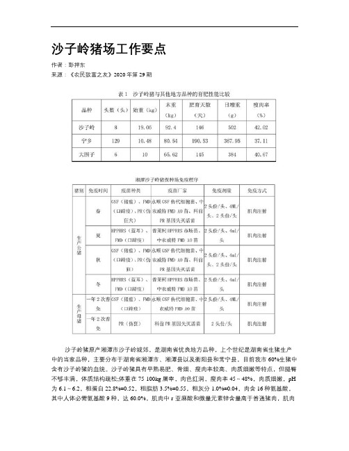 沙子岭猪场工作要点