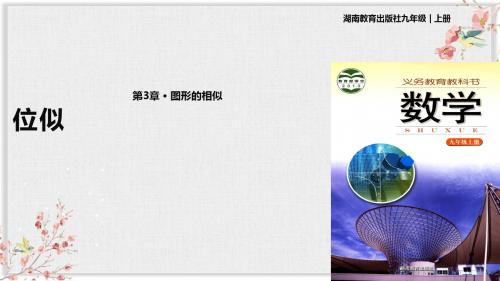 湘教版九年级数学上册课件ppt《位似》