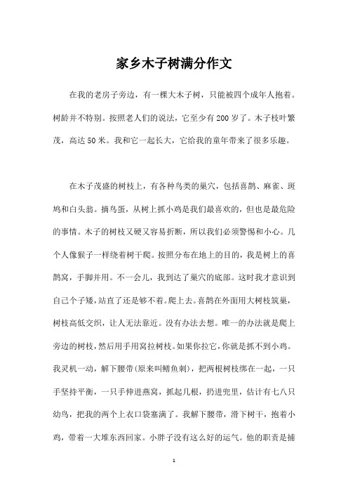 家乡木子树满分作文