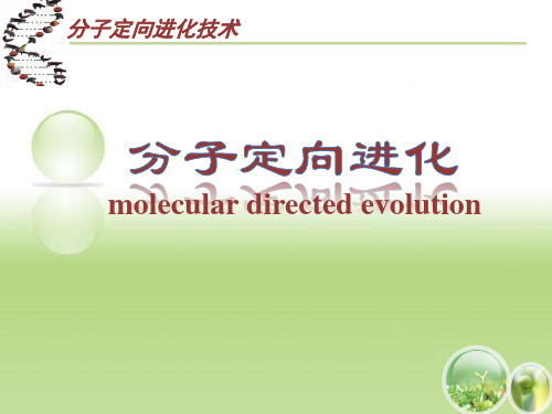 分子定向进化技术简介