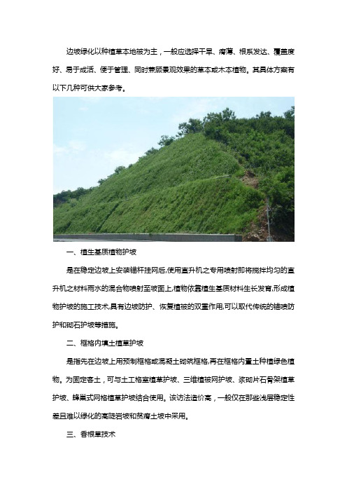 护坡绿化方案
