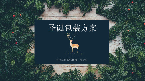 2018圣诞包装方案
