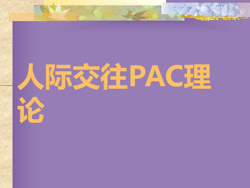 PA理论