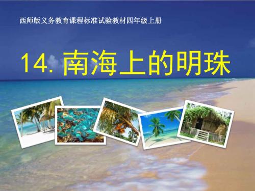 《南海上的明珠》优选公开课件4