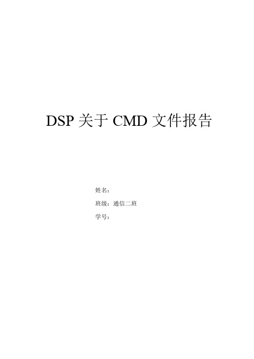 DSP关于CMD文件报告