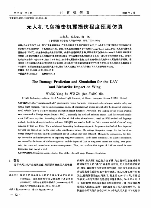 无人机飞鸟撞击机翼损伤程度预测仿真