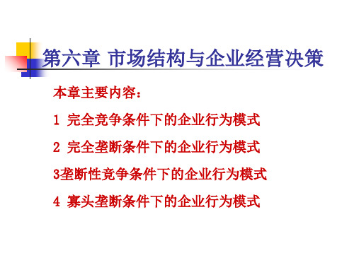 第六章市场结构与企业经营决策-精品.ppt