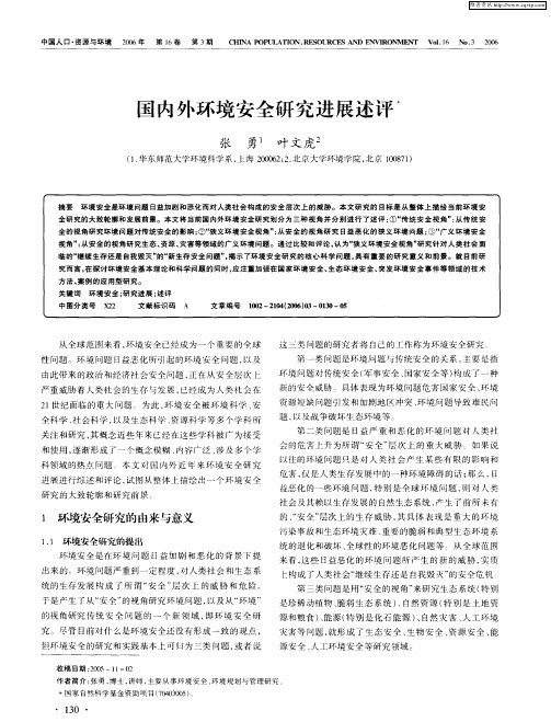 国内外环境安全研究进展述评