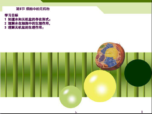 生物必修一细胞中的无机物ppt课件