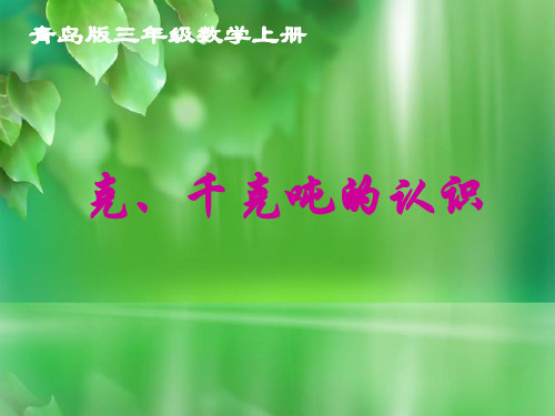 复习_克、千克吨的认识