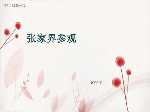 初二写景作文《张家界参观》1000字(总12页PPT)