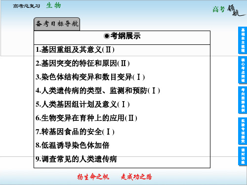 高考生物一轮复习基因突变和基因重组PPT课件