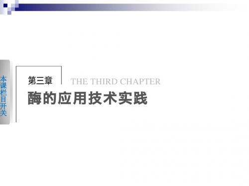 3.10酶的制备和应用 同步课件(苏教版选修1)
