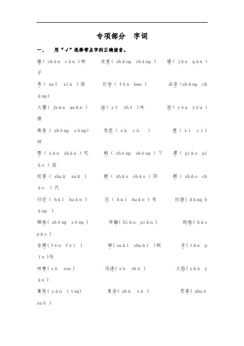 二年级下册语文专项复习练-字词-北师大版