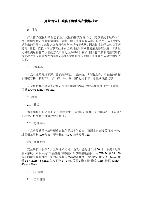 克拉玛依打瓜膜下滴灌高产栽培技术