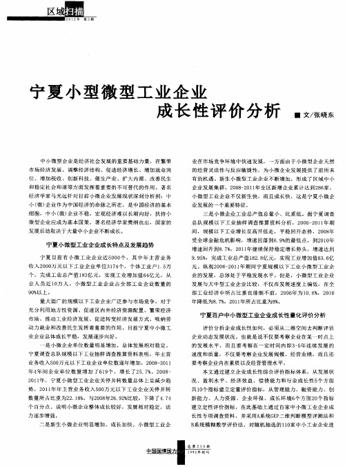 宁夏小型微型工业企业成长性评价分析