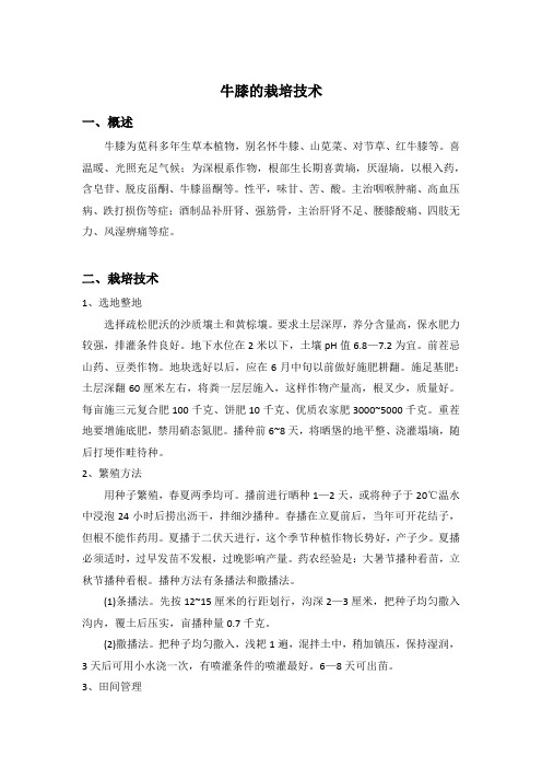 牛膝的栽培技术(土流网)