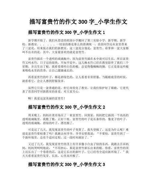 描写富贵竹的作文300字小学生作文