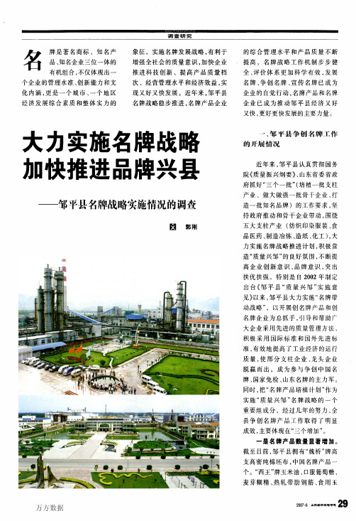 大力实施名牌战略加快推进品牌兴县——邹平县名牌战略实施情况的调查