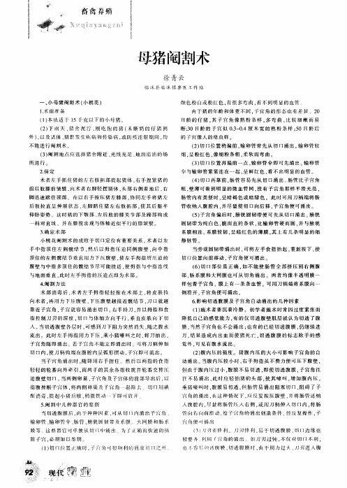 母猪阉割术