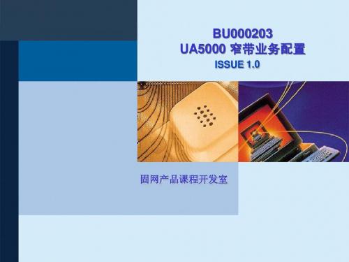 UA5000 窄带业务配置ISSUE1.0